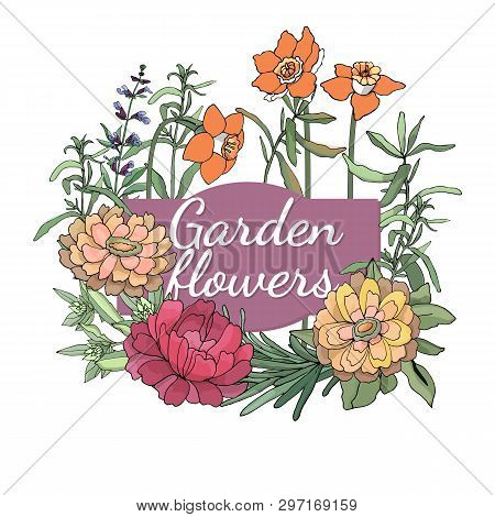 Floral Set. Summer And Spring Isolated Garden Flowers.