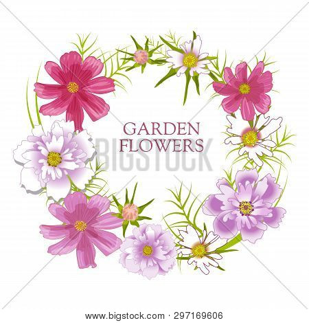 Floral Set. Summer And Spring Isolated Garden Flowers.
