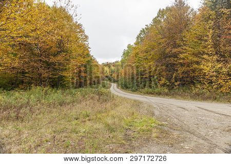 Curvy Dirt Road Winding Through The Woods Near Errol, New Hampshire On An Autumn Afternoon