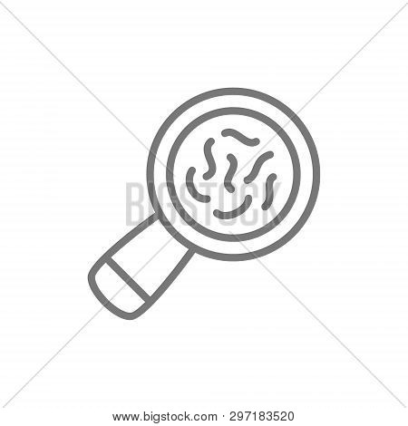 Vector Bacteria Under Magnifying Glass Line Icon.