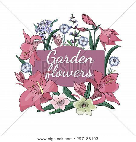 Floral Set. Summer And Spring Isolated Garden Flowers.