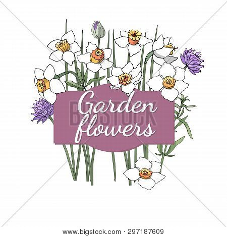 Floral Set. Summer And Spring Isolated Garden Flowers.