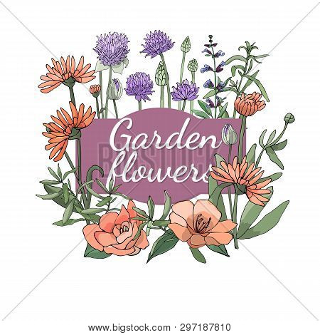 Floral Set. Summer And Spring Isolated Garden Flowers.