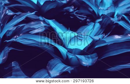 Abstract Floral Trendy Toned Ultra Violet Template Pattern Background