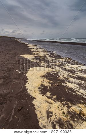 View Of The Waved Waves Of The Avachinskaya Bay , Avacha Bay And Volcanic Beaches. Kamchatka Peninsu