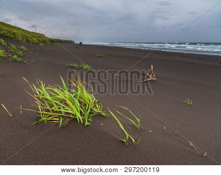 View Of The Waved Waves Of The Avachinskaya Bay , Avacha Bay And Volcanic Beaches. Kamchatka Peninsu