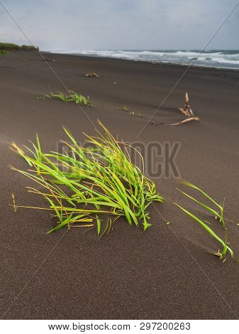 View Of The Waved Waves Of The Avachinskaya Bay , Avacha Bay And Volcanic Beaches. Kamchatka Peninsu
