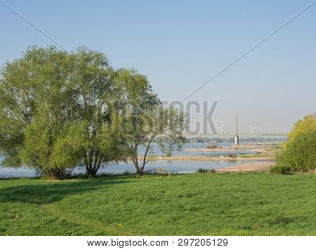 cruise on the rhine river in germany