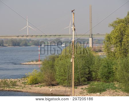 cruise on the rhine river in germany