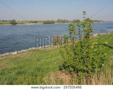 the river rhine near rees in germany