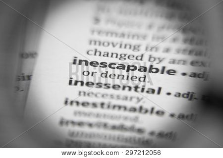 Word Or Phrase Inescapable In A Dictionary. Great Photo For Your Needs.