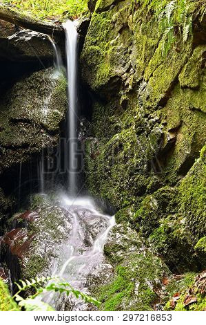 Beautiful Nature Background With Stream And Forest. Springtime In Nature.