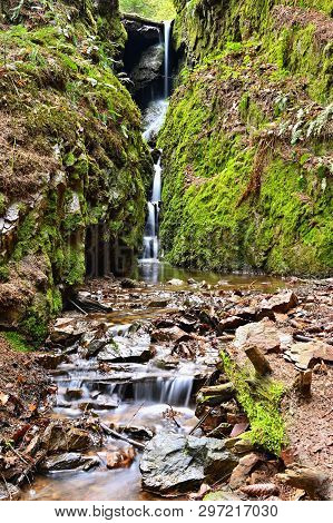 Beautiful Nature Background With Stream And Forest. Springtime In Nature.