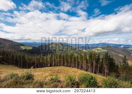 Vizcaya Forest And Mountain Landscape, Basque Country, Spain.