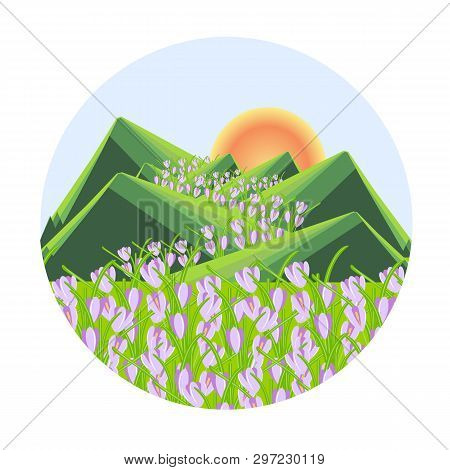 Romantic Landscape Green Mountain. Hill, Violet Crocus Spring Design Element Stock Vector Illustrati
