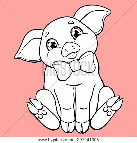 The Cute Pig Contour On Pink Background