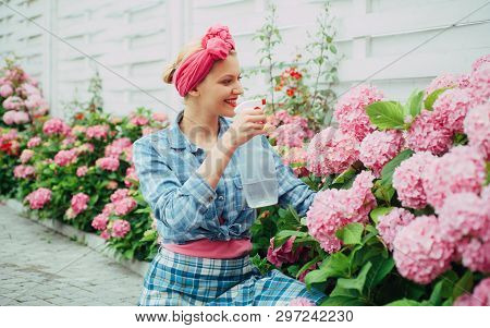 Flower Care And Watering. Soils And Fertilizers. Hydrangea. Spring And Summer. Happy Woman Gardener 