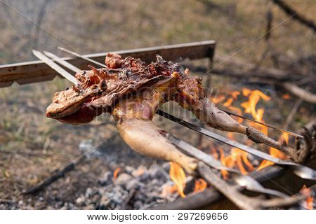 Fowl Preparing, Hunting Theme. Cooking A Whole Pheasant Body On An Iron Skewers Over A Campfire With