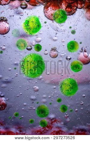 Meningitis Bacteria Infection