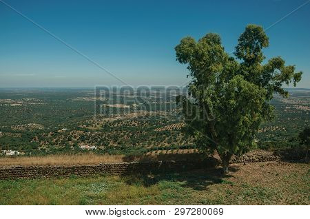 Countryside Landscape With Verdant Field And Stone Wall On Top Of Hill At Evoramonte. A Tiny Fortifi
