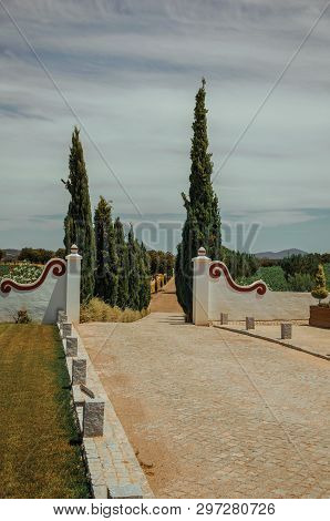 Charming Decorated Gateway And Wall Made In Masonry With Path Encircled By Poplars, In Vineyard Near