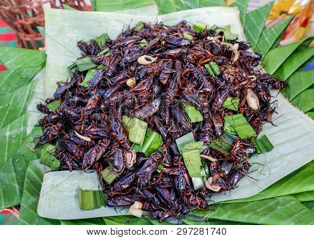 Fried Cricket With Pandan On Banana Leaf Background / Jumping Cricket Insects For Snack At Street Fo