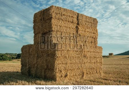 Rural Landscape With Hay Bales Piled Up On A Field Covered By Straw At Sunset, In A Farm Near Elvas.