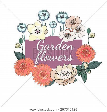 Floral Set. Summer And Spring Isolated Garden Flowers.