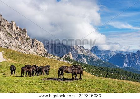Italy Dolomites Moutnain At Summer - Passo Di Giau. Dolomites Are On Unesco World Heritage List.