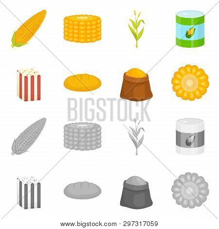 Vector Illustration Of Cornfield And Vegetable Sign. Collection Of Cornfield And Vegetarian Stock Ve