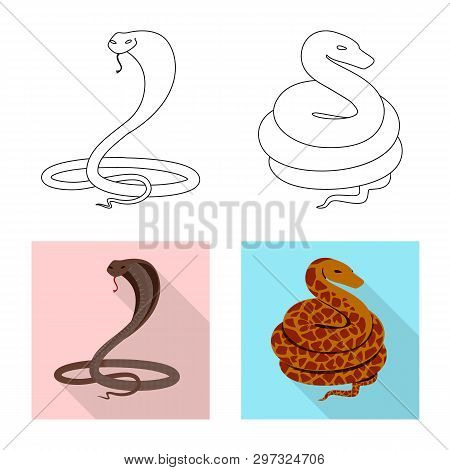 Vector Design Of Mammal And Danger Icon. Collection Of Mammal And Medicine Stock Symbol For Web.