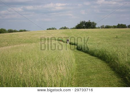 grasbewachsenen Weg