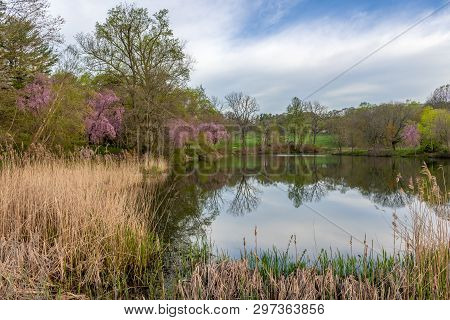 A Scenic Spring View Of The Lower Pond In Holmdel Park In Monmouth County New Jersey.