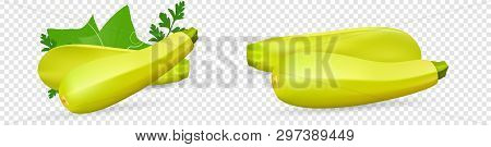Fresh Vegetable Zucchini Decorated With Green Leaf And Flower. Realistic Vector On Transparent Backg