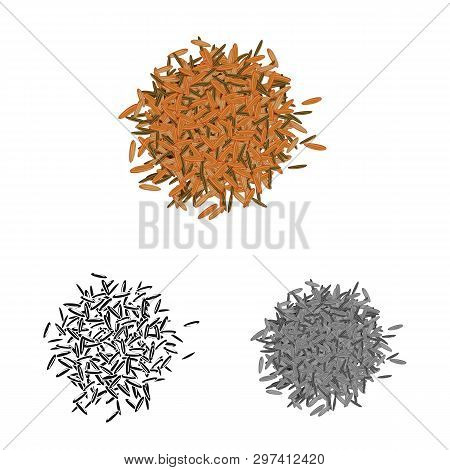 Vector Design Of Grain And Rice  Icon. Set Of Grain And Seed Vector Icon For Stock.