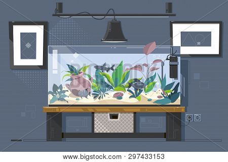 Cartoon Freshwater Fishes In Tank Aquarium Vector Illustration.
