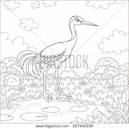 Red-crowned Crane Bird By A Small Lake Among Cane, Grass And Flowers Of A Meadow On A Summer Day, Bl
