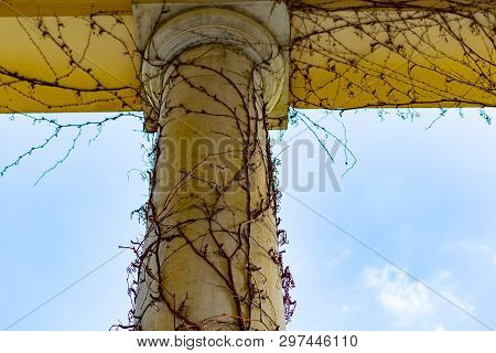 Outdoor Of The Czech Castle And Village Radun