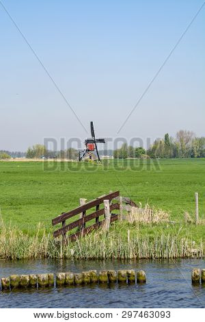 Waterways Of North Holland And View On Traditional Dutch Wind Mill And Cows On Green Pasture, Spring