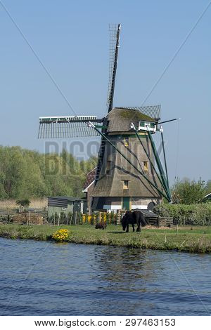 Waterways Of North Holland And View On Traditional Dutch Wind Mill, Spring Landscape