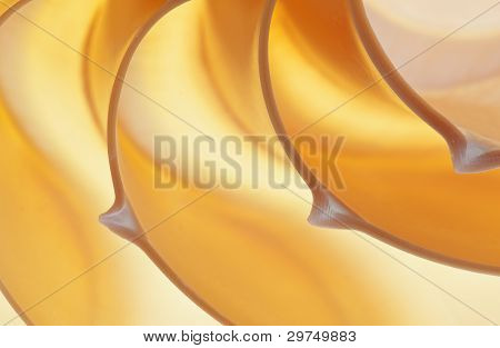 Detailní fotografie rozpůlenou podsvícení shell Nautilus chambered (Nautilus pompilius)