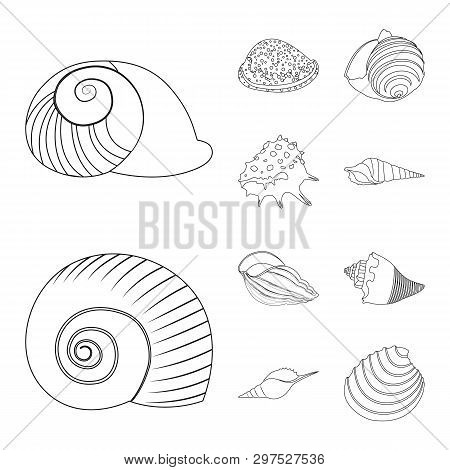 Vector Illustration Of Exotic And Seafood  Icon. Set Of Exotic And Aquatic Vector Icon For Stock.