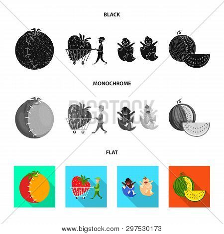 Vector Illustration Of Test And Synthetic Icon. Collection Of Test And Laboratory Stock Vector Illus