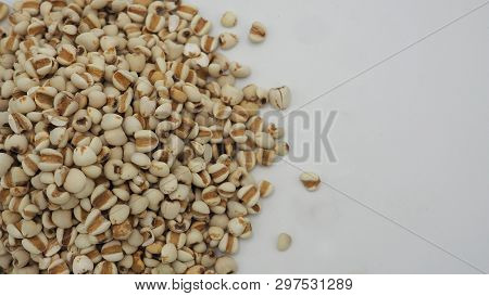 Job's Tears, Also Known As Adlay And Coix On White Background. Popular In Asian Cultures As A Food S