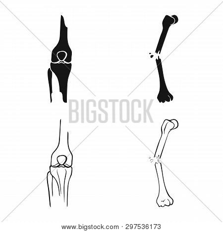 Vector Design Of Medicine And Clinic Icon. Set Of Medicine And Medical Vector Icon For Stock.