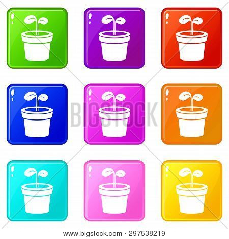 Plant Icons Set 9 Color Collection Isolated On White For Any Design