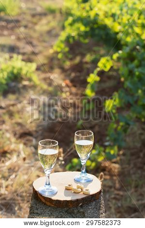 Two Glasses Of Fresh White Wine On A Wooden Board A Traditional Italian Snack - Taralli On A Bright 