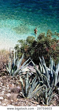 Agia EFIMIA Beach, Kefalonia