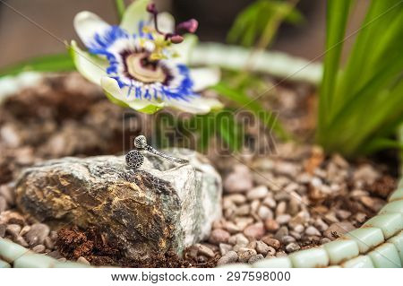 Jewelery Made Of Natural Stones Against The Backdrop Of Blossoming Pasiflora. Bracelets, Rings, Neck