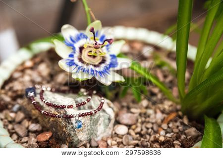 Jewelery Made Of Natural Stones Against The Backdrop Of Blossoming Pasiflora. Bracelets, Rings, Neck